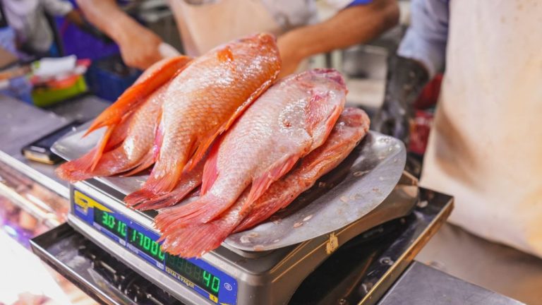 Secretaría de Salud de Boyacá da pautas para comprar pescado seguro en Semana Santa