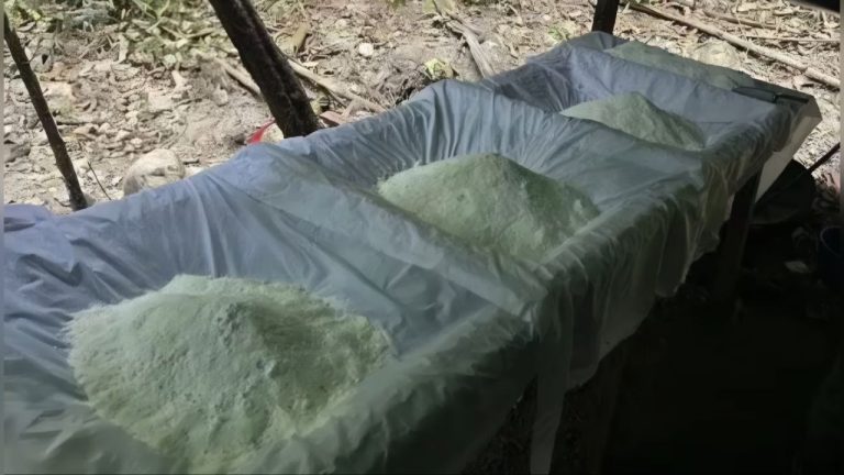 Policía inhabilita laboratorio de cocaína en San Luis de Gaceno