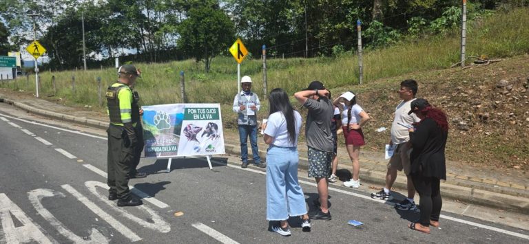 Jornada contra el atropellamiento de fauna señalizó pasos de animales en la Transversal del Sisga