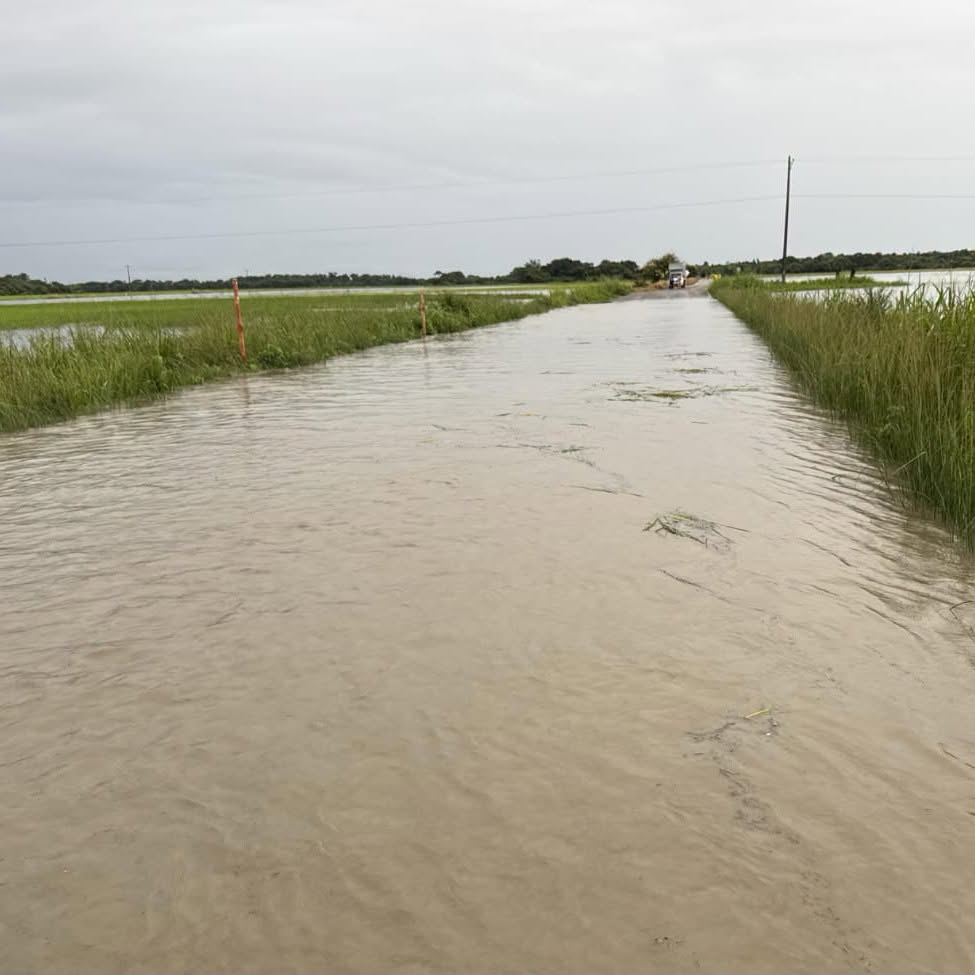 Vía rural cubierta por el agua entre potreros, en la imagen de Fedecacao sobre la creciente del río Upía