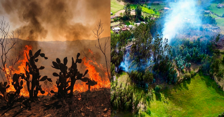Noventa municipios de Boyacá, en alerta por alta probabilidad de incendios forestales