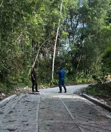 Tramo terminado de la placa huella en Guichirales, San Luis de Gaceno, rodeado de árboles
