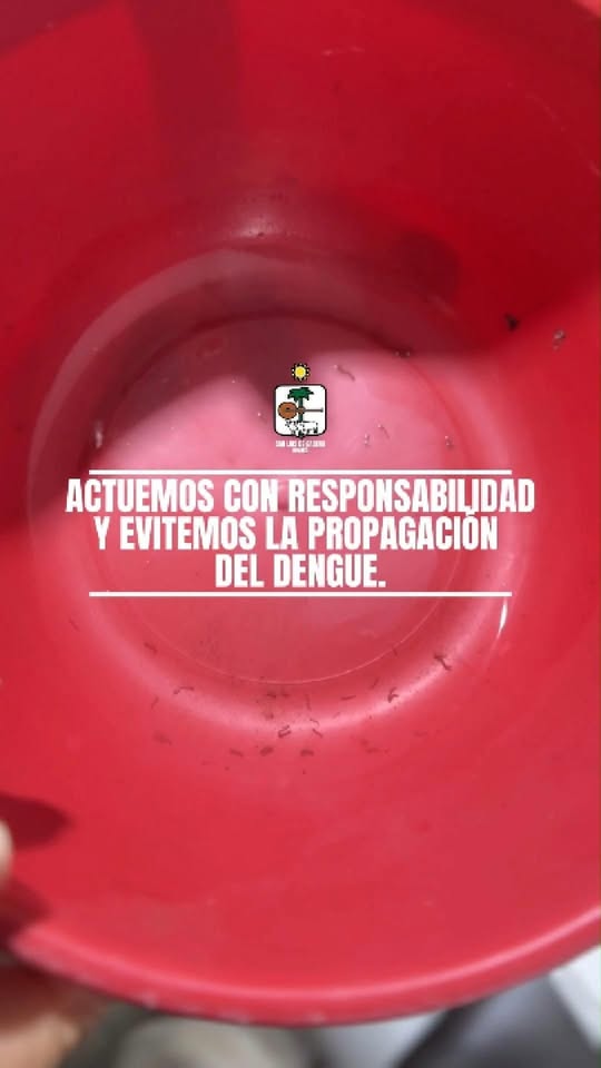 Campaña contra el dengue en San Luis de Gaceno: la Alcaldía pide no darle casa al zancudo