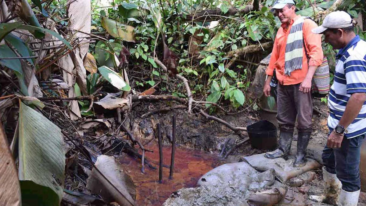 Habitantes de Horizontes junto a un charco de agua rojiza en medio de la vegetación