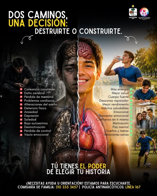 Afiche de la Comisaría de Familia de San Luis de Gaceno contra el consumo de drogas, con los contactos 310 335 3457 y línea 167