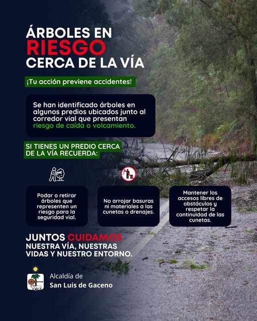 San Luis de Gaceno pide a propietarios podar o retirar árboles en riesgo junto a las vías