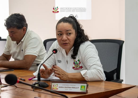 La concejala María Cristina Perilla interviene en una sesión del Concejo de San Luis de Gaceno