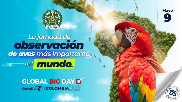 Global Big Day en Macanal: avistamiento de aves en el Mirador del Cielo y en reservas del embalse