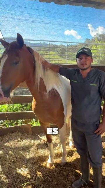 Hombre junto a un caballo en un establo, en el video sobre maltrato animal en San Luis de Gaceno