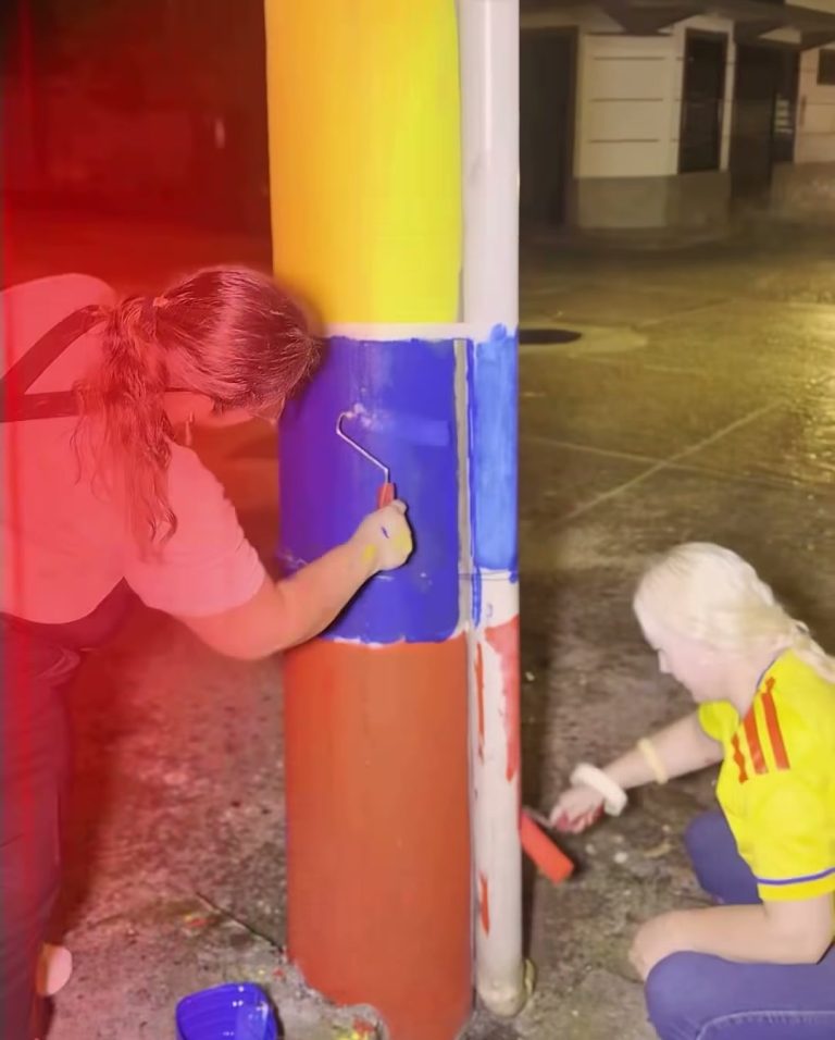 Un grupo de amigos pintó postes de San Luis de Gaceno con los colores de Colombia por el Mundial