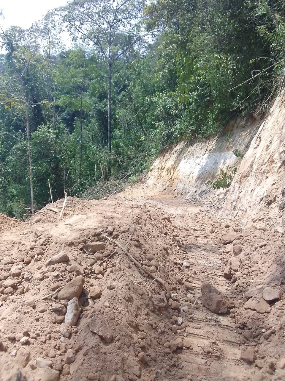 Tramo de tierra recién abierto de la vía que comunica a la vereda Cumaral de San Luis de Gaceno con Santa María